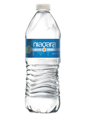 Purified Drinking Water, 16.9 oz Bottle